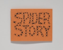 Spider Story