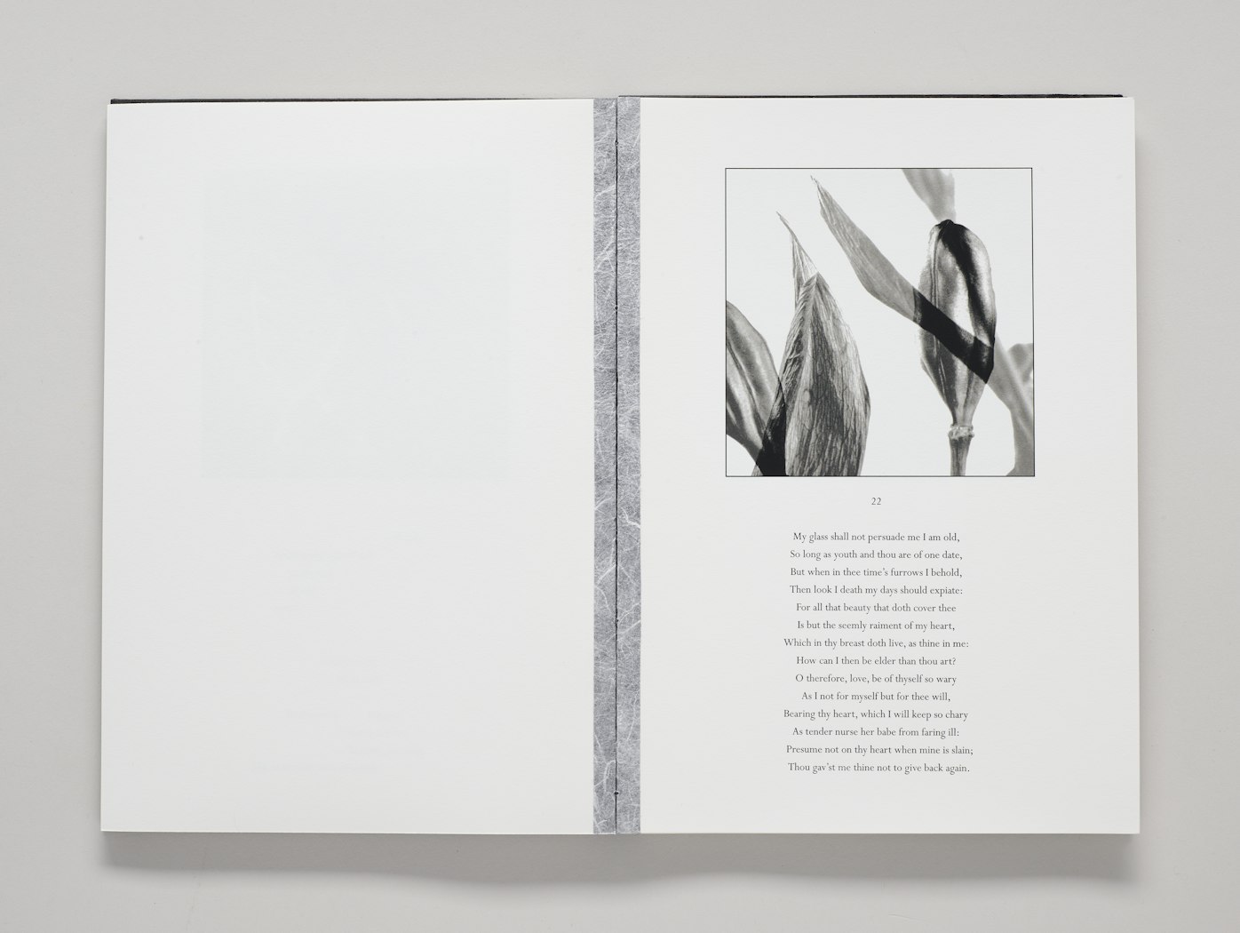 Ghost Poems for the Living