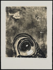 Turban Shell from the portfolio Intimate Immensity
