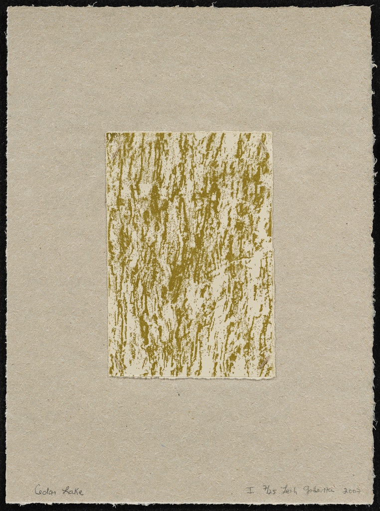 Cedar Lake from the portfolio Intimate Immensity