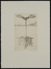 nth root from the portfolio Intimate Immensity