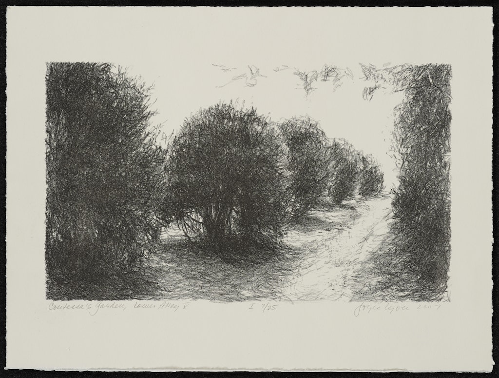 Contessa's Garden, Lower Alley V from the portfolio Intimate Immensity