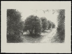 Contessa's Garden, Lower Alley V from the portfolio Intimate Immensity