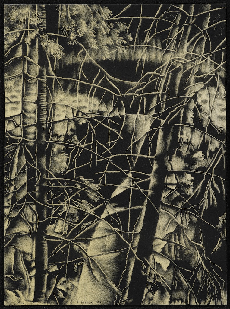 Sometimes Chaos is All You Can See from Here from the portfolio Intimate Immensity