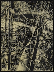 Sometimes Chaos is All You Can See from Here from the portfolio Intimate Immensity