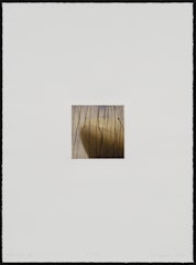 from Contact II series from the portfolio Intimate Immensity