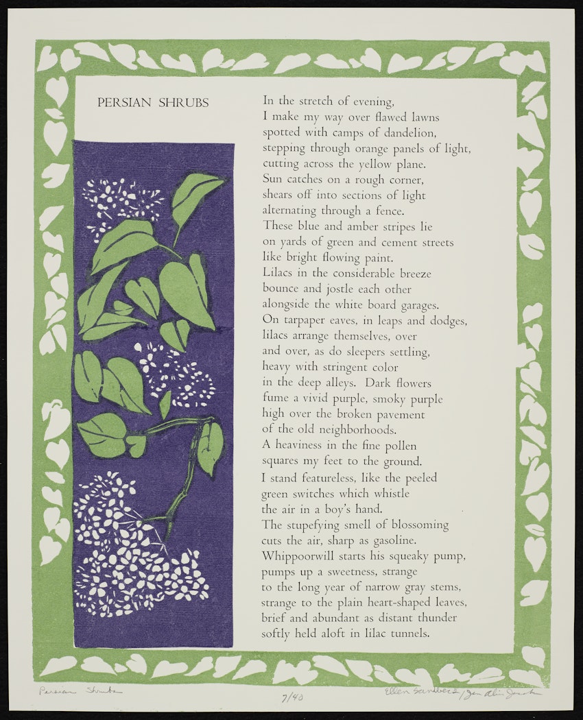 Persian Shrubs from the Thirteen Broadsides portfolio