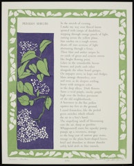 Persian Shrubs from the Thirteen Broadsides portfolio
