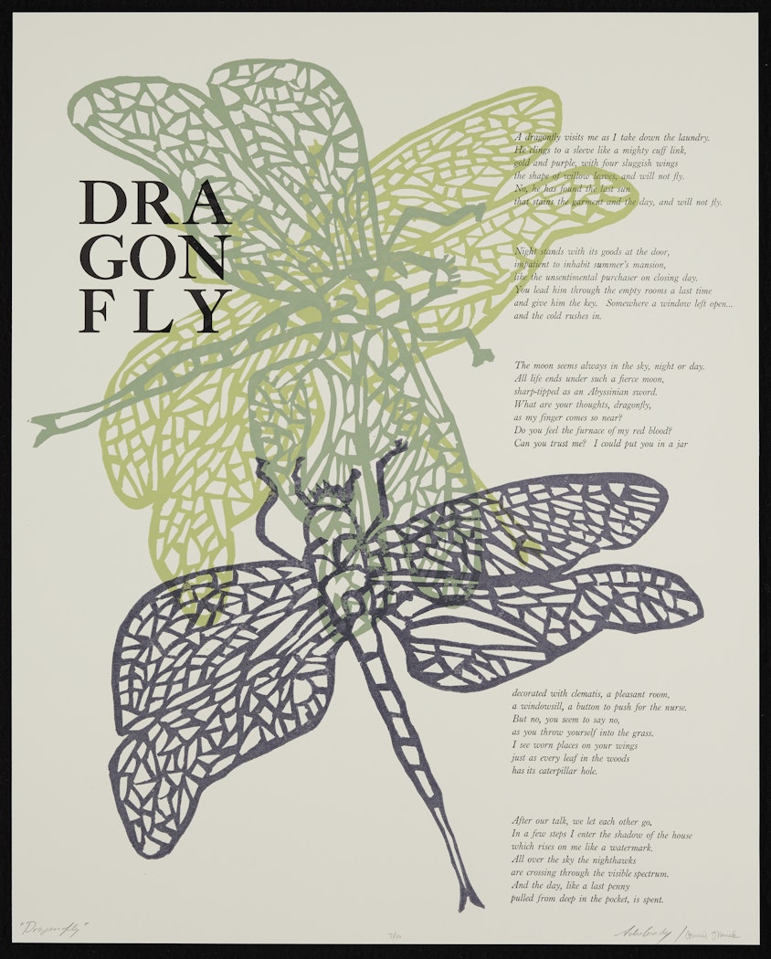 Dragonfly from the Thirteen Broadsides portfolio