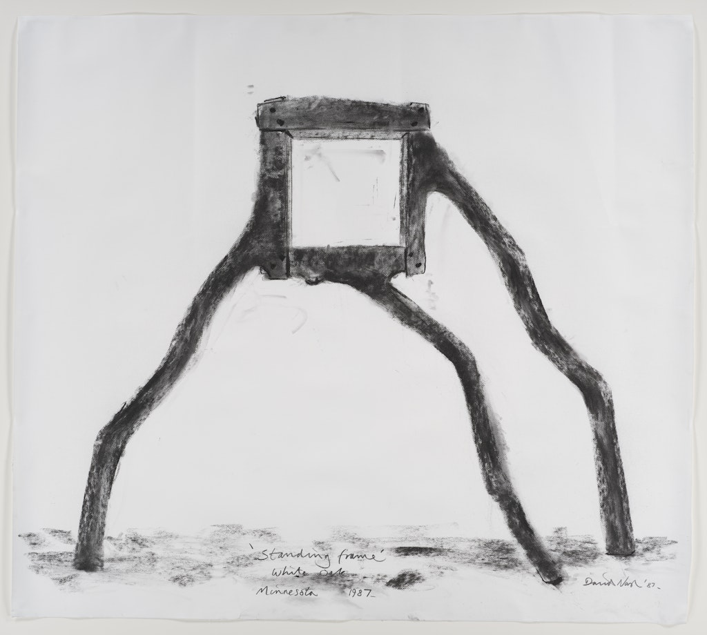 Standing Frame - White Oak - Minnesota 1987