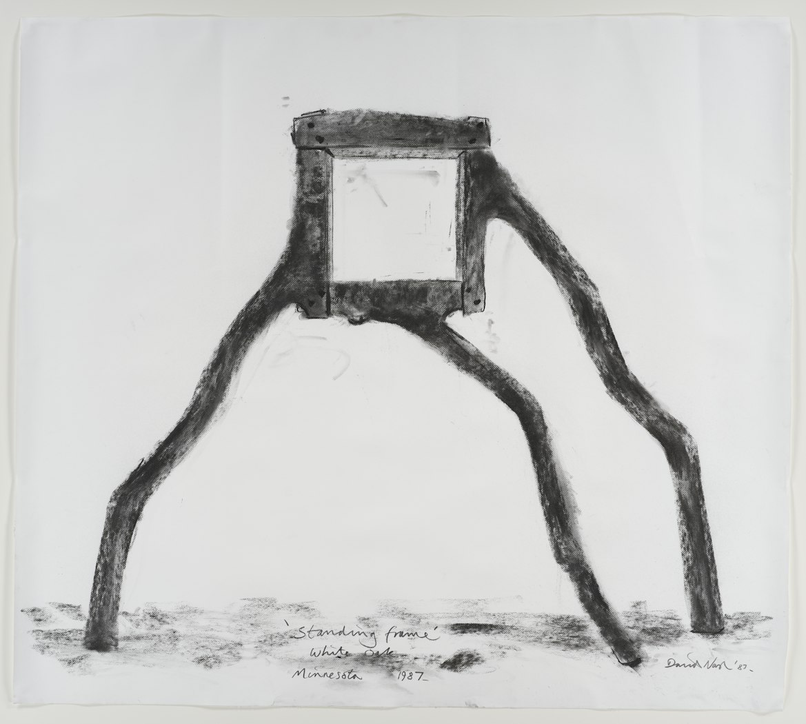Standing Frame - White Oak - Minnesota 1987