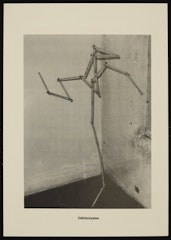 Zollstockpalme (Measuring- Stick Palm Tree) from the portfolio Höhere Wesen befehlen (Higher Beings Command)