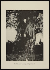 Die Weide, die nur meinetwegen hohl gewachsen ist (The Willow, for My Sake, Has Grown Up Hollow) from the portfolio Höhere Wesen befehlen (Higher Beings Command)
