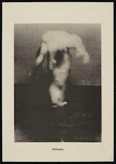 Wattepalme (Cotton-Wool Palm Tree) from the portfolio Höhere Wesen befehlen (Higher Beings Command)