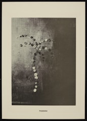 Knopfpalme (Button Palm Tree) from the portfolio Höhere Wesen befehlen (Higher Beings Command)