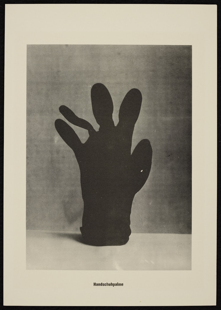 Handschuhpalme (Glove Palm Tree) from the portfolio Höhere Wesen befehlen (Higher Beings Command)