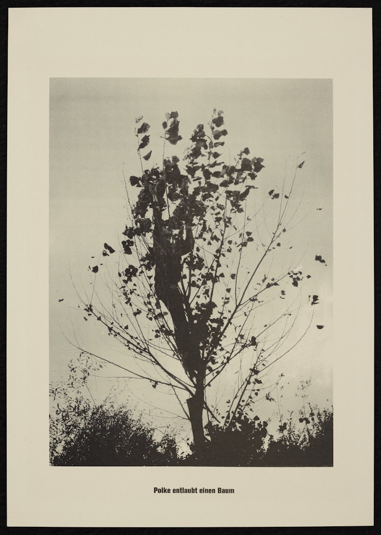 Polke entlaubt einen Baum (Polke Strips a Tree of Its Leaves) from the portfolio Höhere Wesen befehlen (Higher Beings Command)