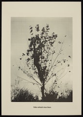 Polke entlaubt einen Baum (Polke Strips a Tree of Its Leaves) from the portfolio Höhere Wesen befehlen (Higher Beings Command)