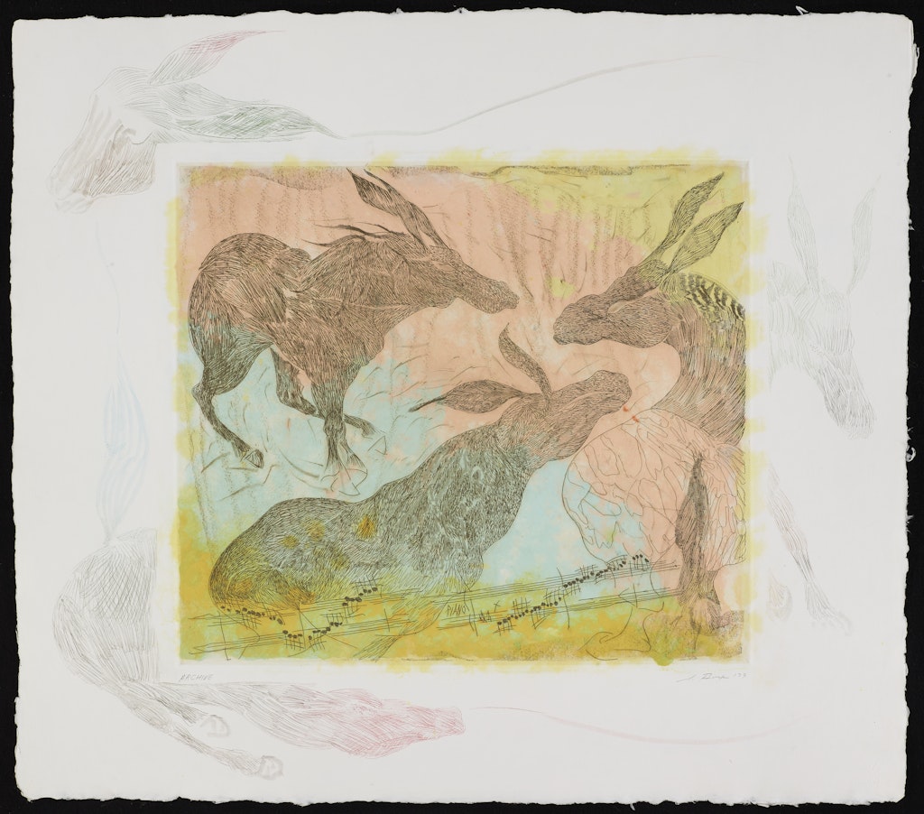 Jackass Free from the portfolio Carnival of Animals