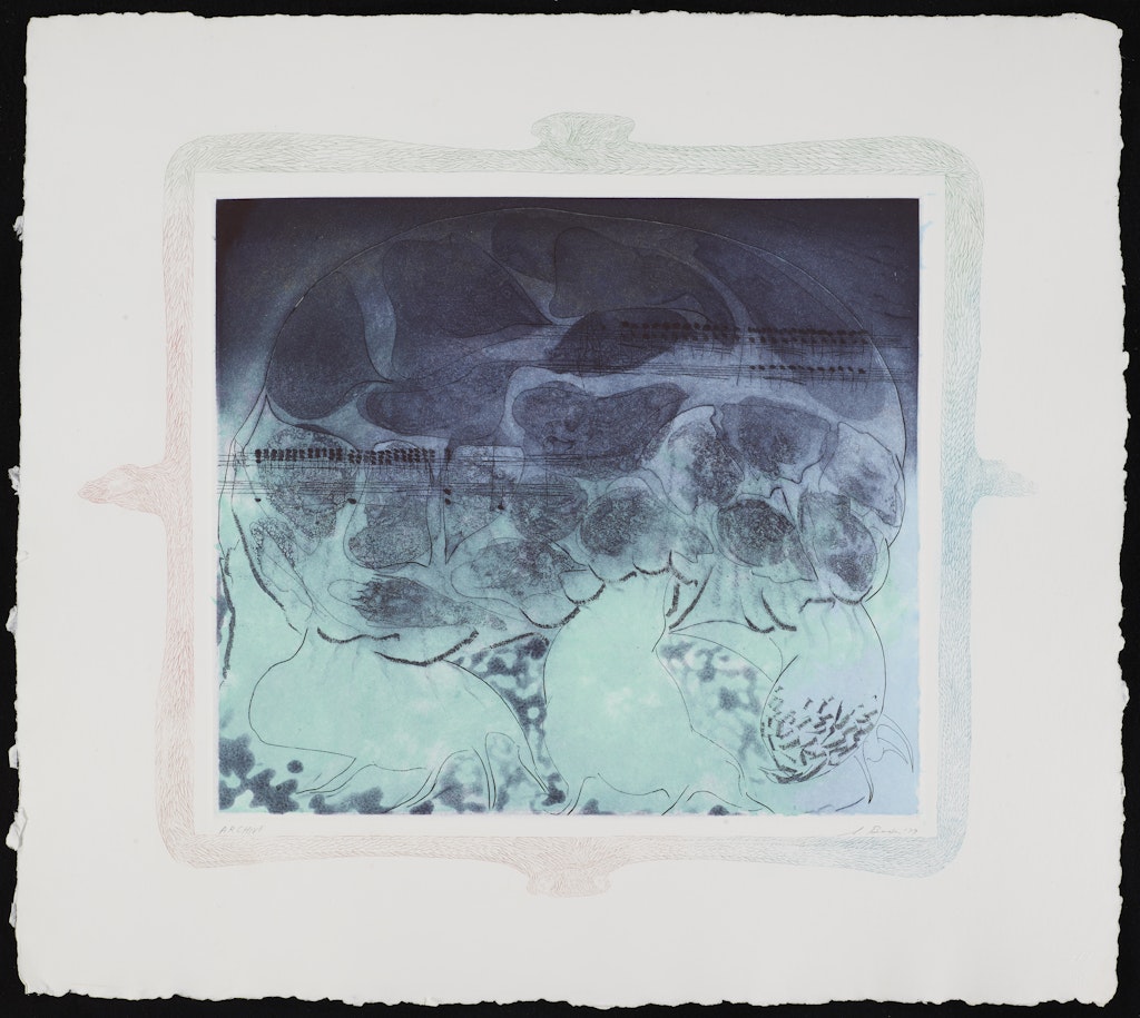 Turtle from the portfolio Carnival of Animals