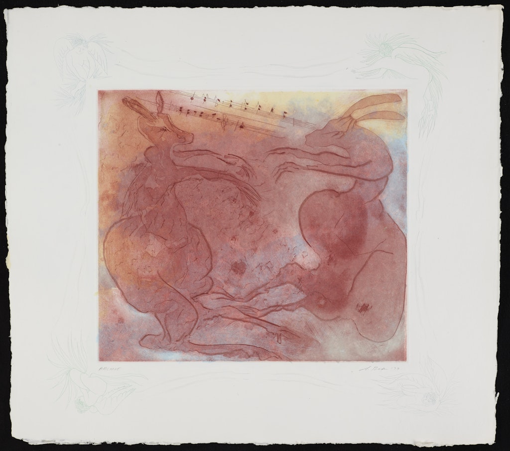 Kangaroos from the portfolio Carnival of Animals