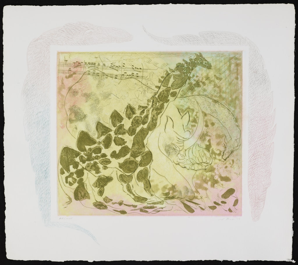 Fossils from the portfolio Carnival of Animals