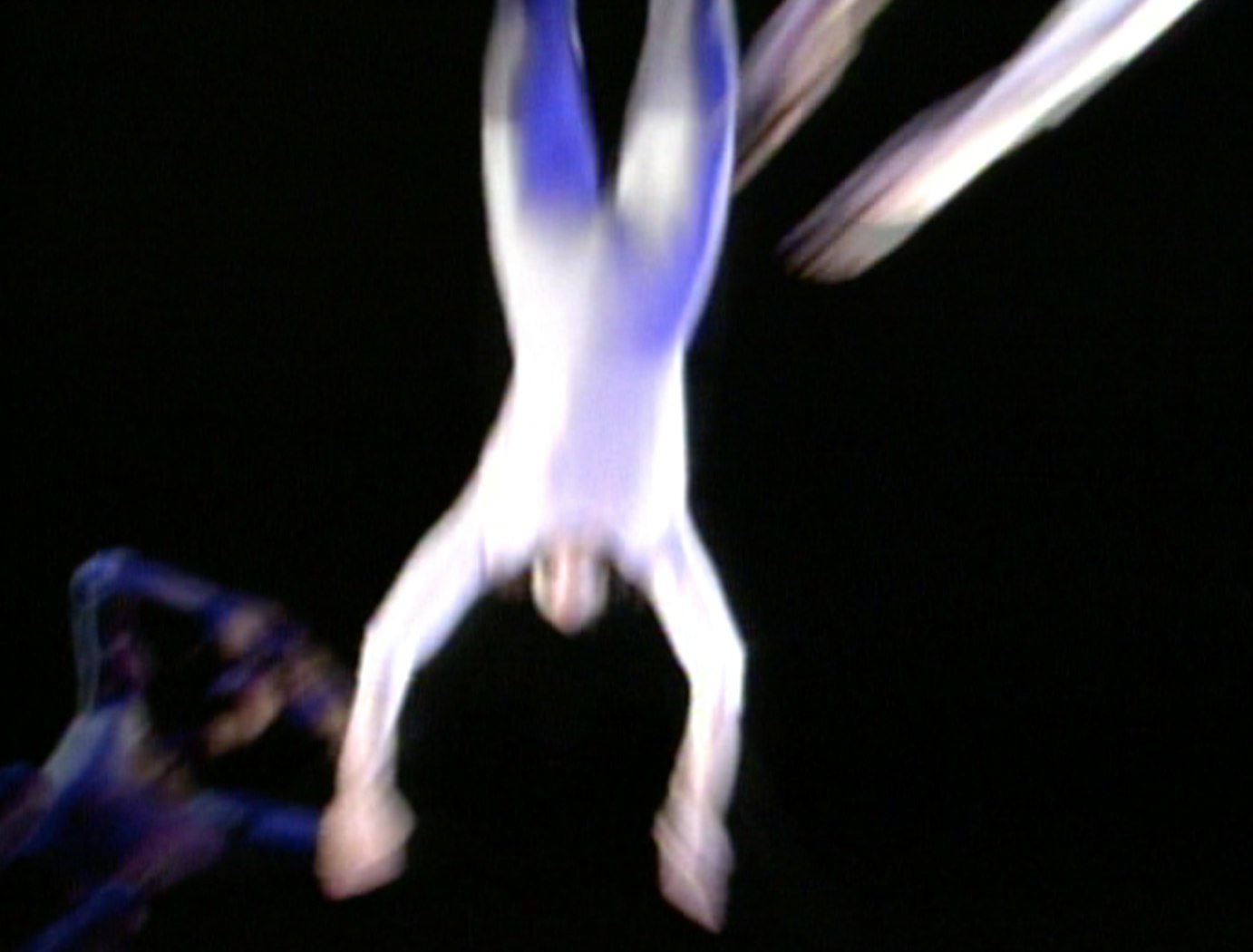 Alive from off Center: Five Dances on Video 308