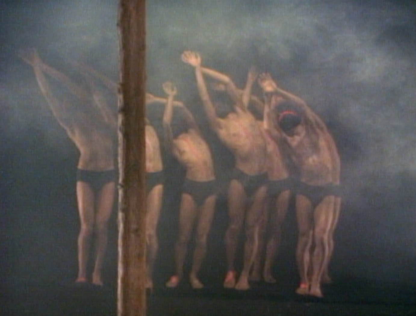 Alive from off Center: Five Dances on Video 308