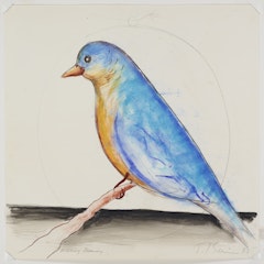 Psyche: The Blue Martin