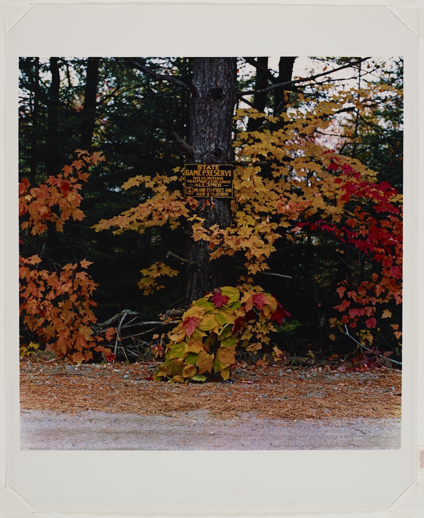 October 1981 Rangeley Maine from The Anthology Film Archives portfolio