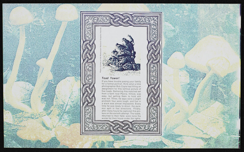 Toad Tower  from False Impressions