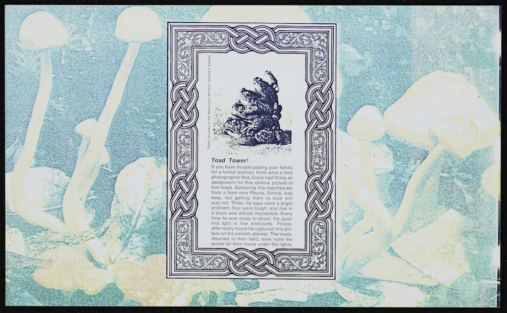 Toad Tower  from False Impressions