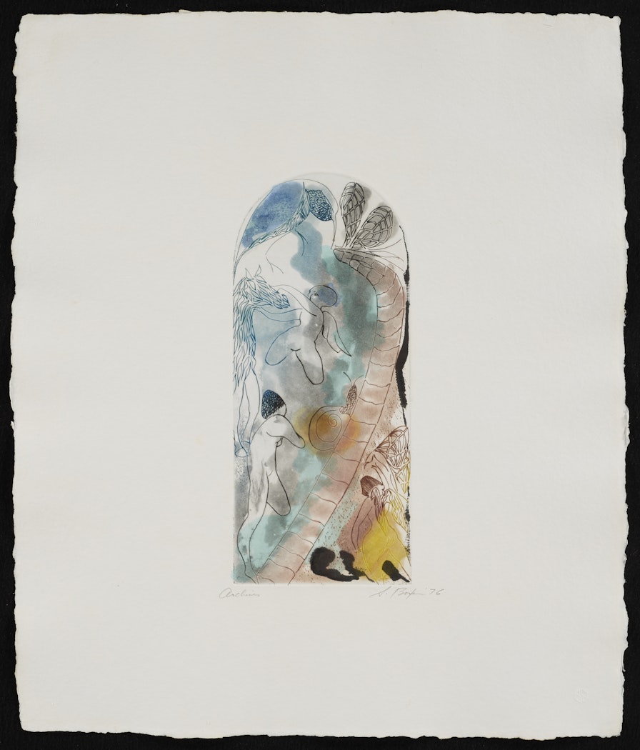 Conventionofslydiscussants from the portfolio Ring of Dust in Bloom