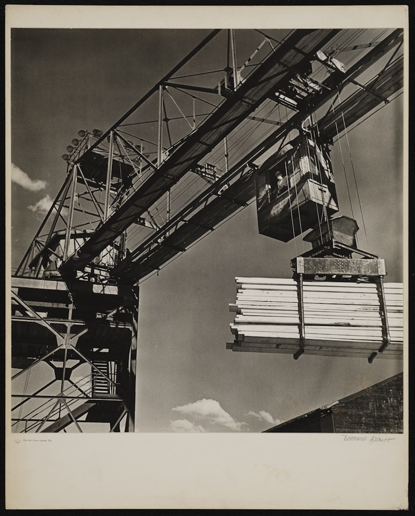 Hammerhead Crane from The Red River Photographs