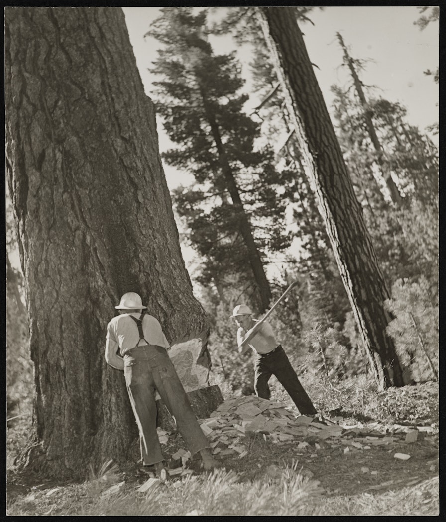 untitled from The Red River Photographs