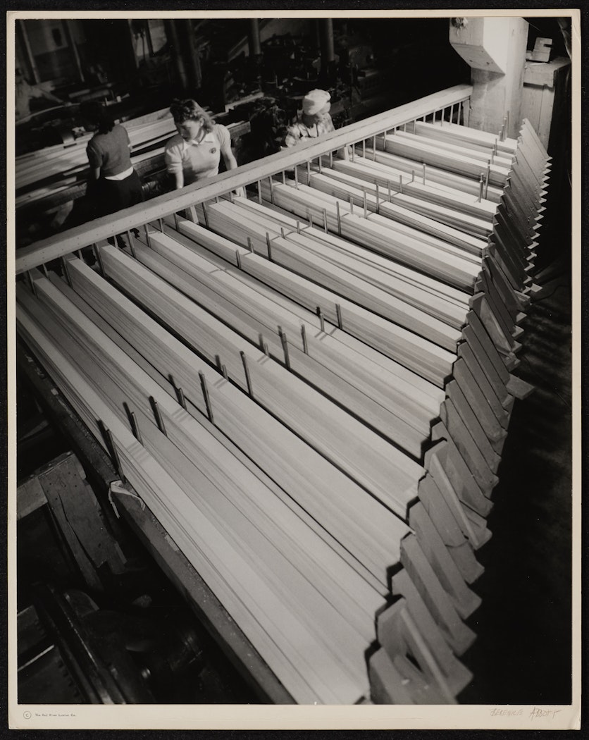 Venetian Blind Slats - Sorting to Length from The Red River Photographs