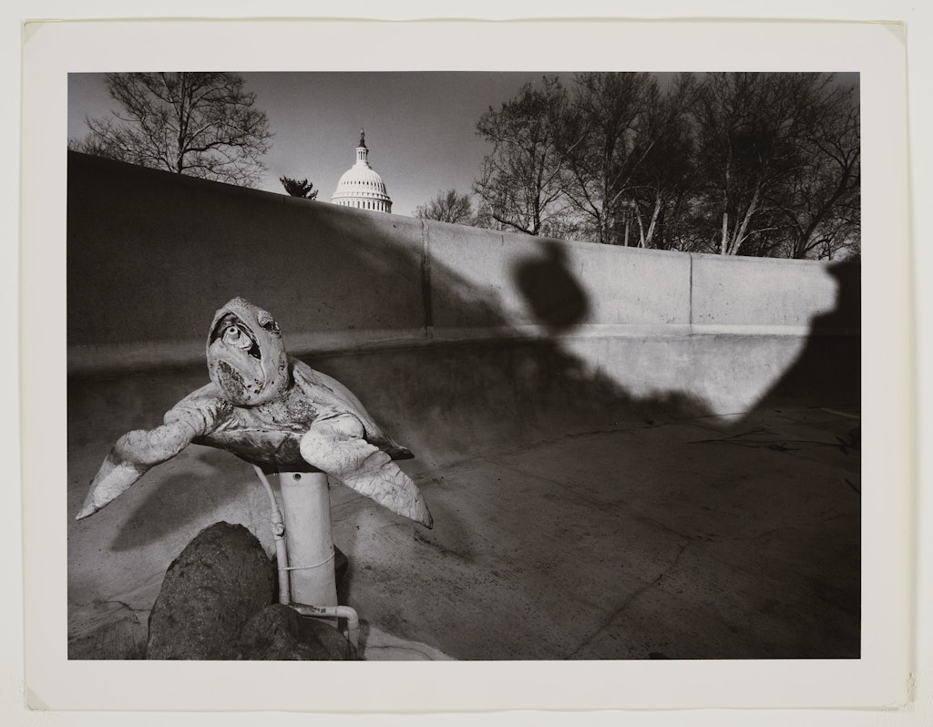 Neptune's Pond; Washington D.C. from Private Ritual - Public Domain Series