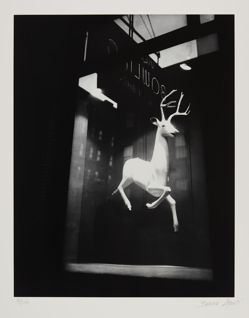 Untitled (Reindeer) from the portfolio Retrospective