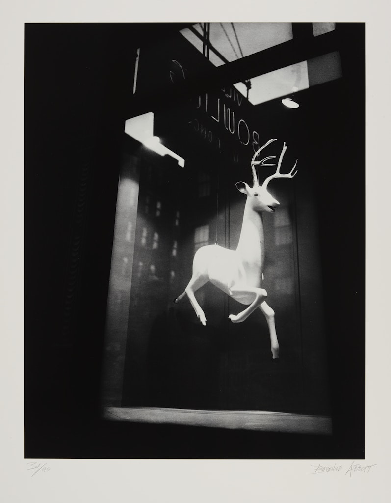 Untitled (Reindeer) from the portfolio Retrospective