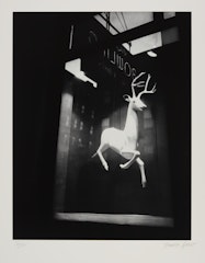 Untitled (Reindeer) from the portfolio Retrospective