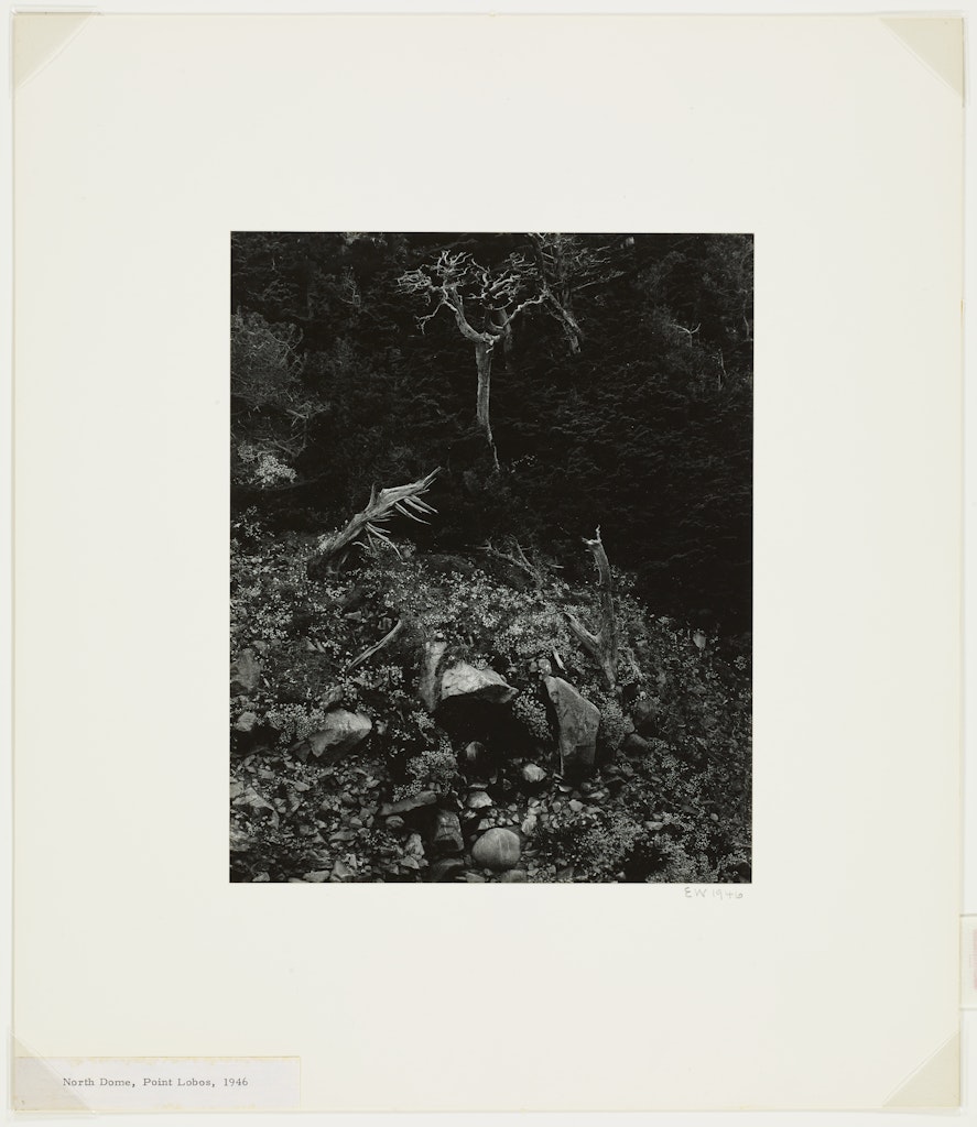 North Dome, Point Lobos from the 50th Anniversary Portfolio: 1902-1952