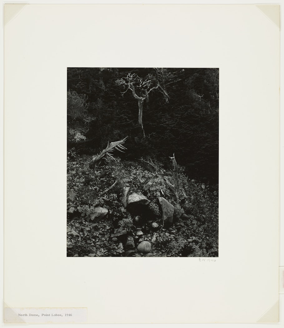 North Dome, Point Lobos from the 50th Anniversary Portfolio: 1902-1952