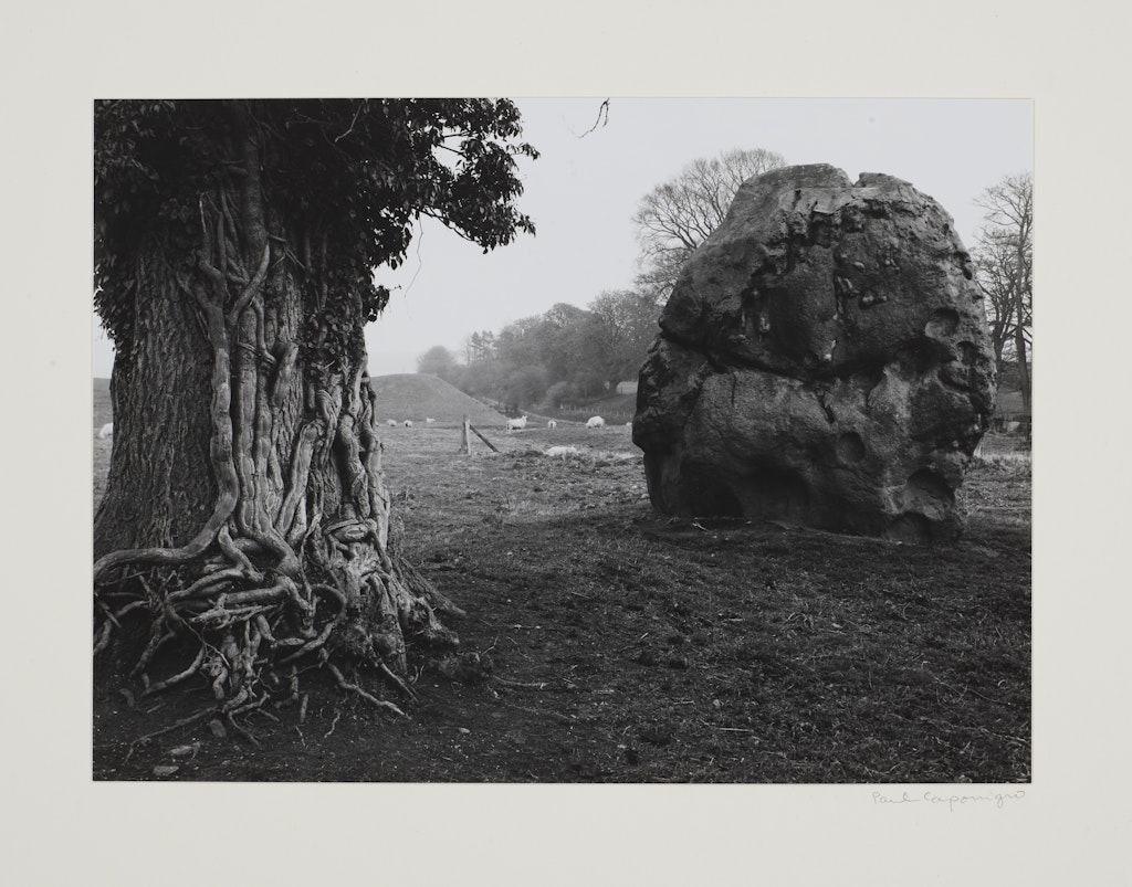 Stone & Tree, Avebury, England from Portfolio II