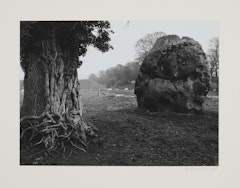 Stone & Tree, Avebury, England from Portfolio II