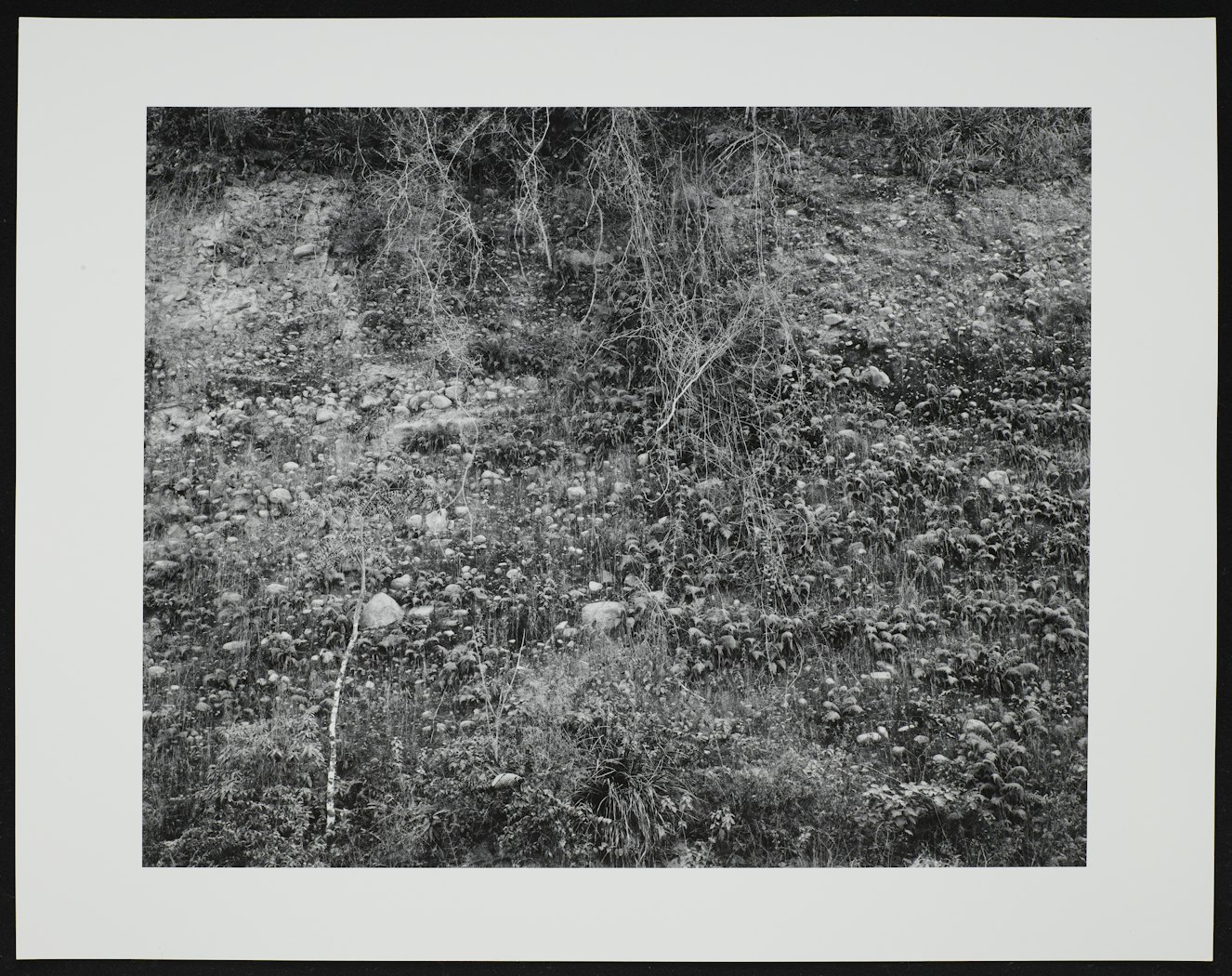 Kentucky 1970