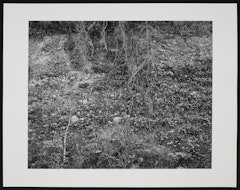 Kentucky 1970