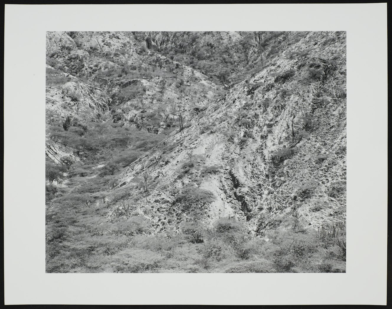 Folded Landscape Kentucky