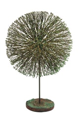 Dogwood VII