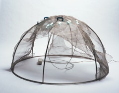 Igloo