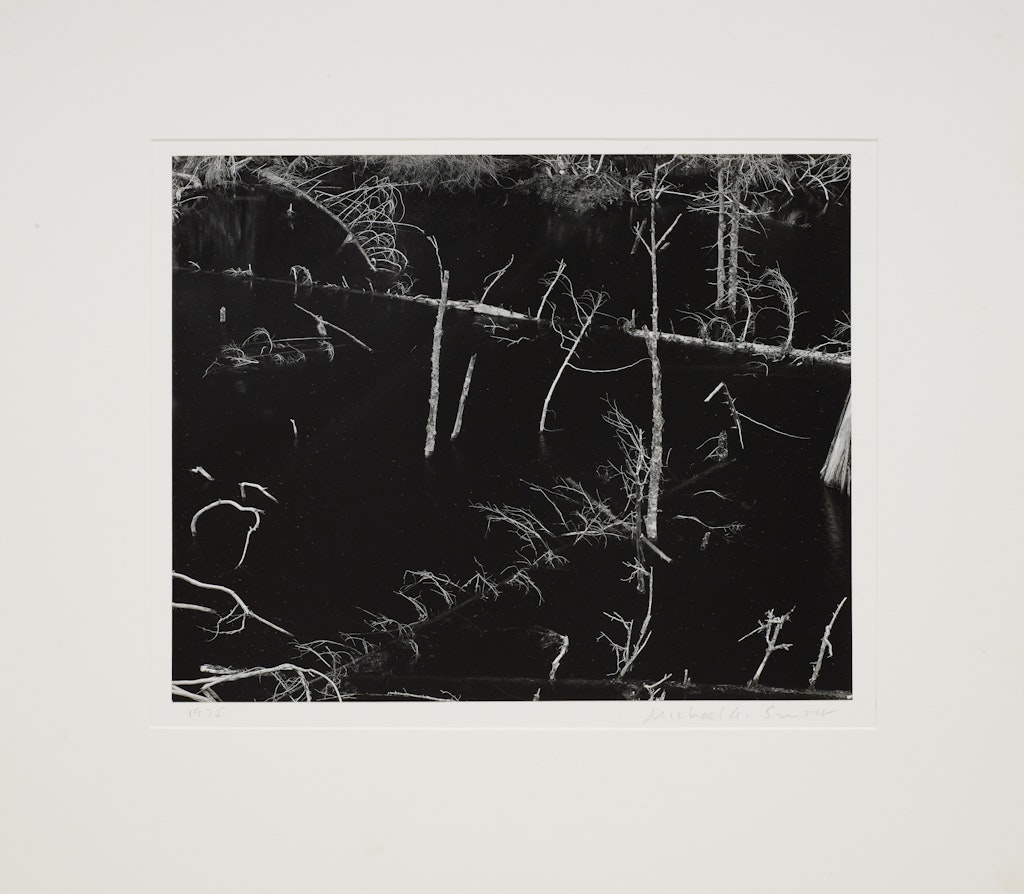 Near Blue River, British Columbia